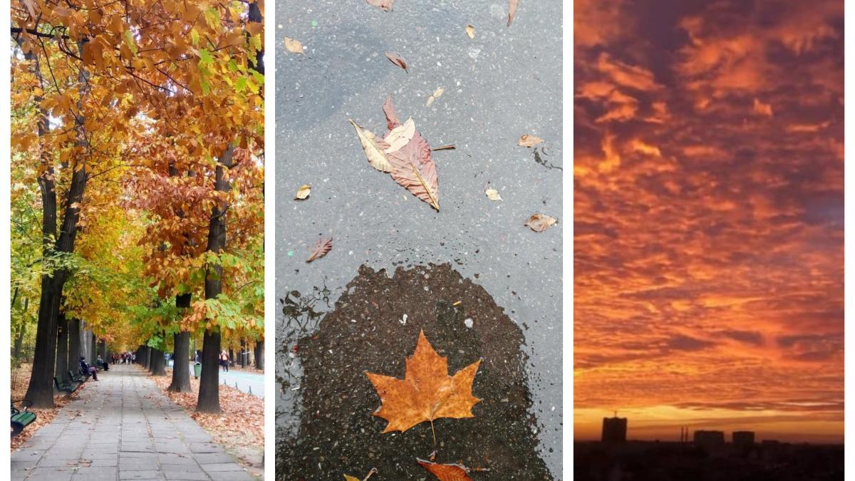 vijelii ploi vreme rea toamna elena mateescu meteo