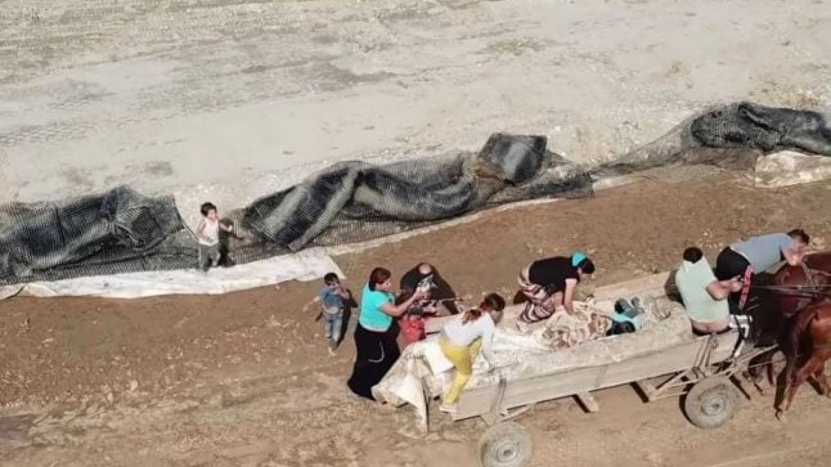 drona jaf santier pitesti