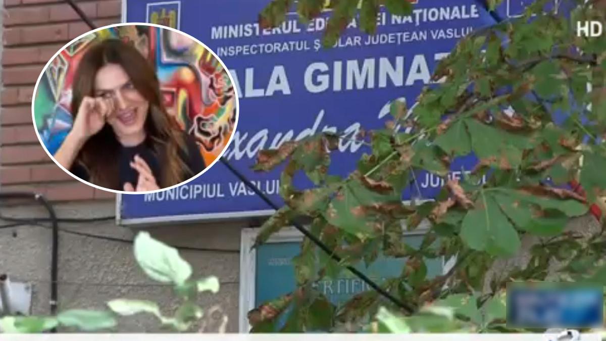 micuta picasso alexandra nechita lacrimi sinteza zilei