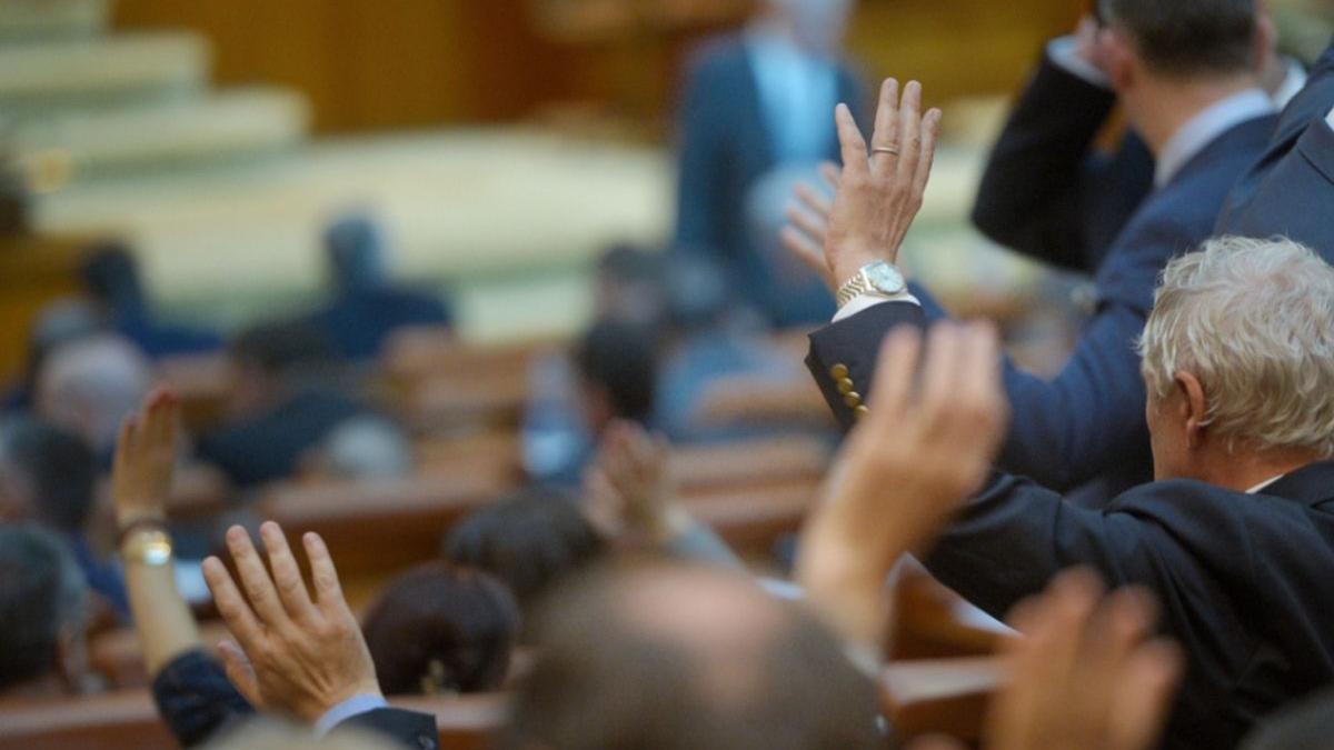 camera deputatilor cazuri covid 19