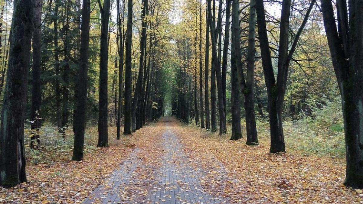 vremea prognoza meteo temperaturi