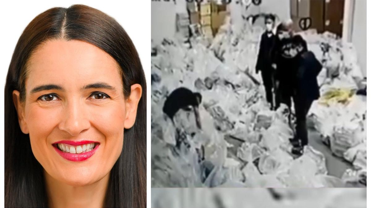 tudorache armand alegeri frauda