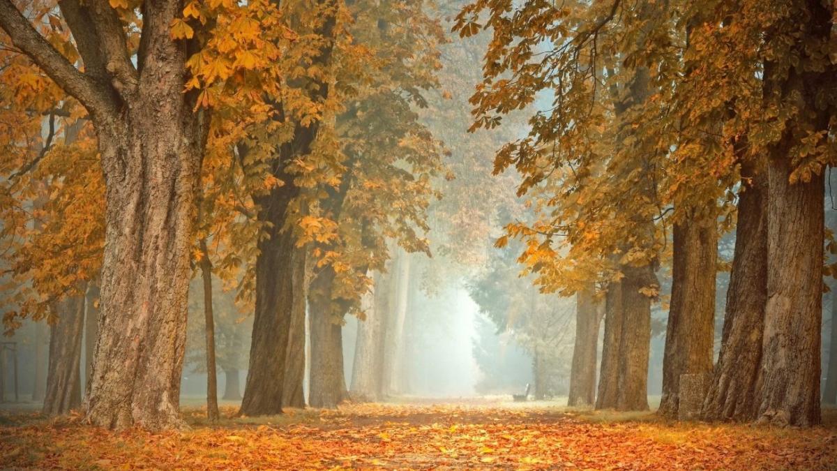 vremea frig meteo meteorologi ninsori ploi