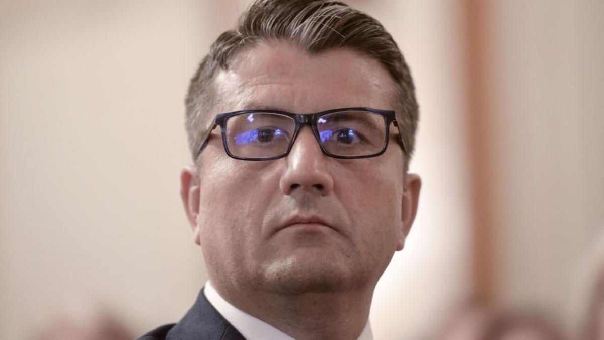 decebal fagadau demisie psd