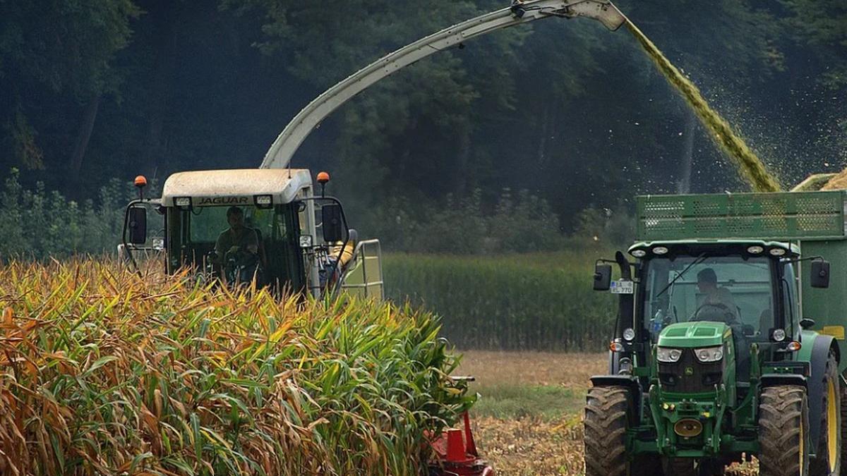 ministerul agriculturii bani organizatie
