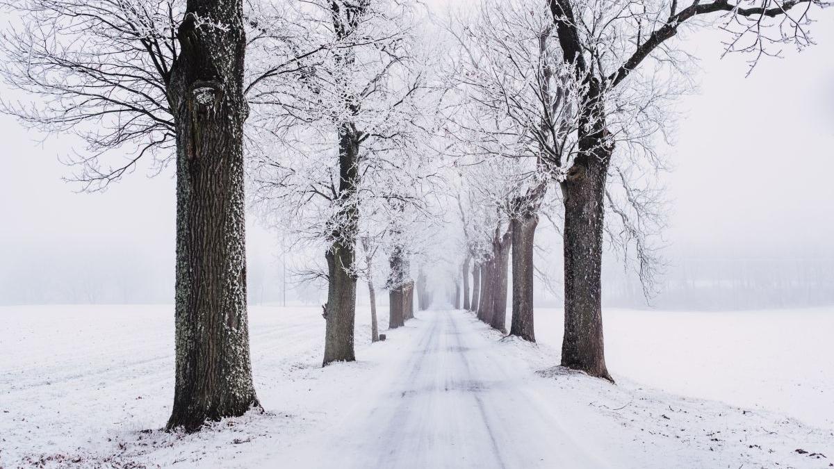 vremea iarna alina serban meteorologi