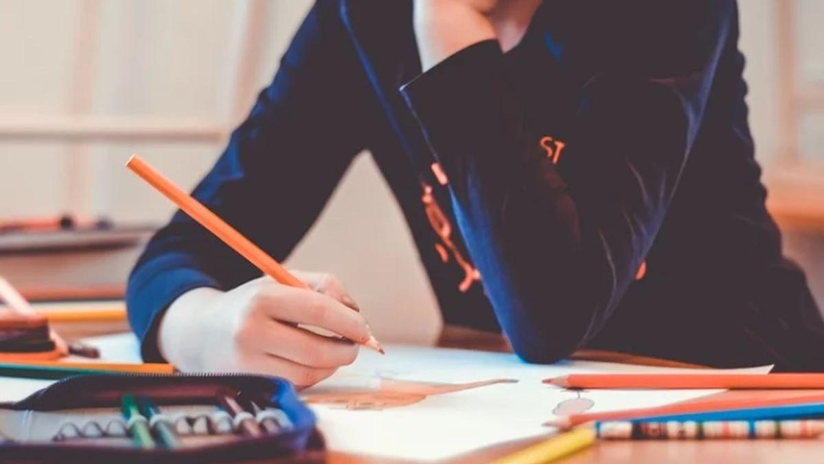 profesorii de la o scoala din eforie sud refuza predarea online presedintele consiliul judetean al