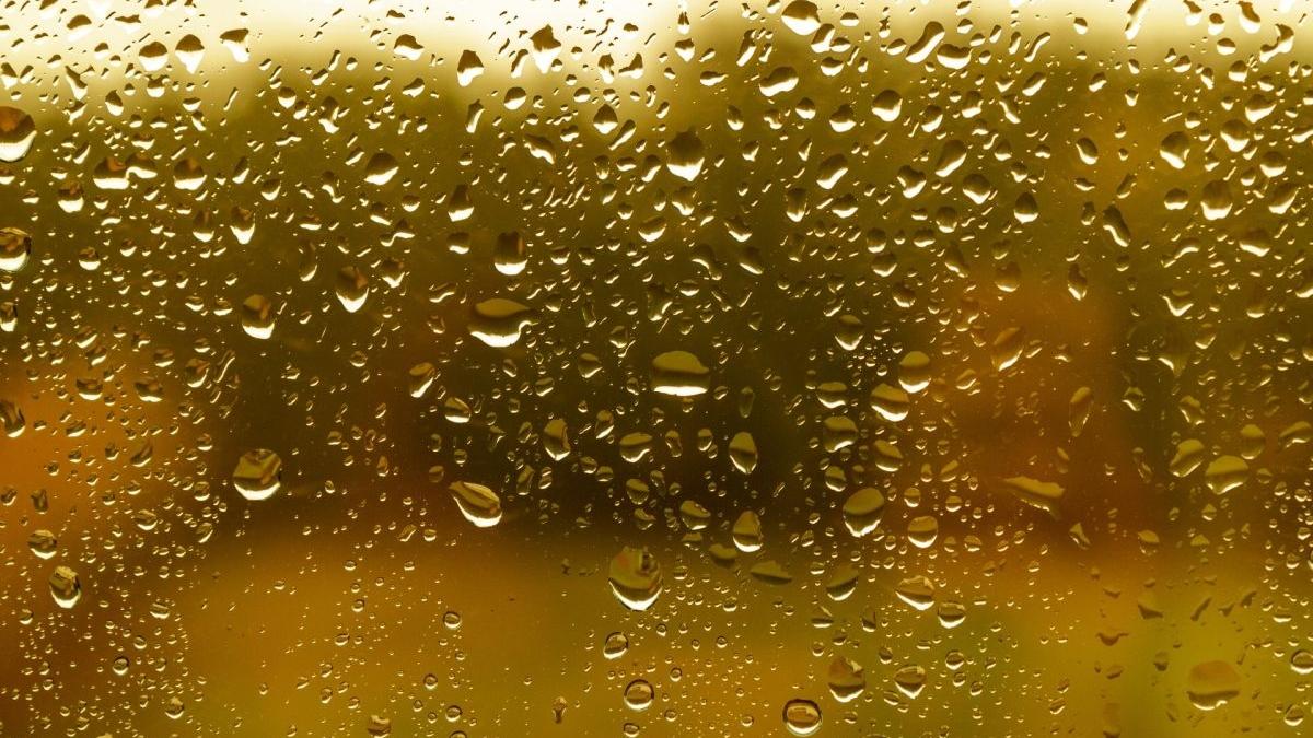 temperaturile scad iarna ninsori