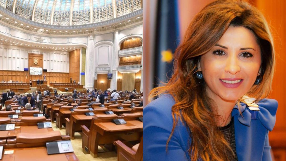 mirela furtuna baronului pestilor candidatura psd tulcea