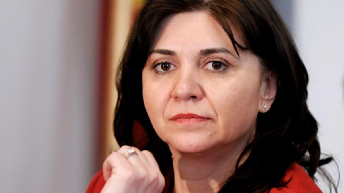 monica anisie apel inspectori scolari monitoriare invatamant online