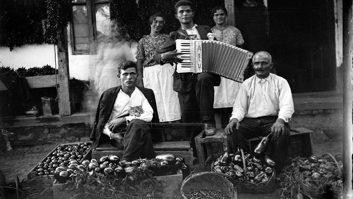 oana rasuceanu eroul zilei costica acsinte