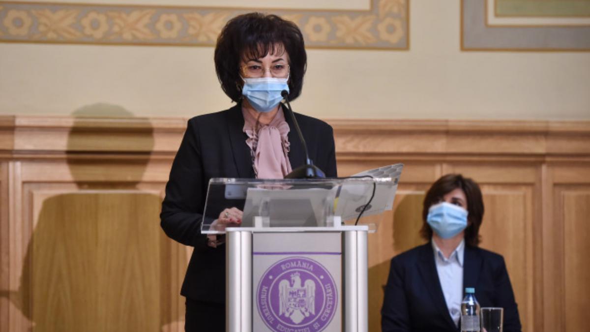 luminita barcari candidat pnl alegeri parlamentare 2020