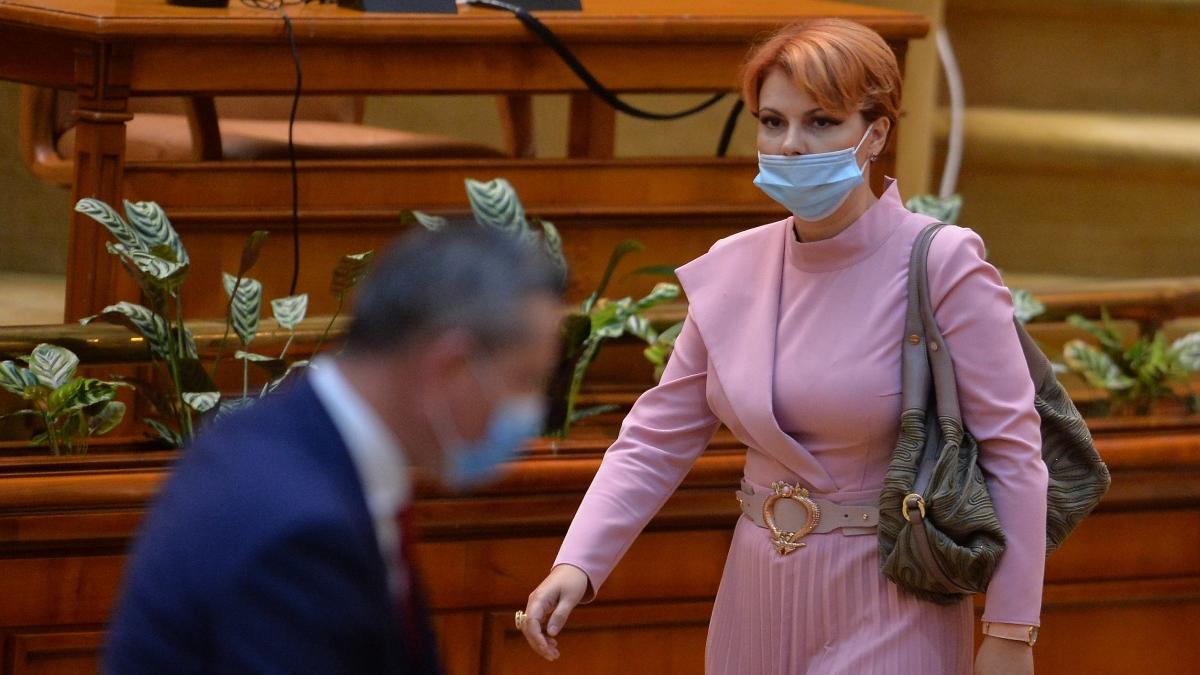 olguta vasilescu alegeri parlamentare psd dolj