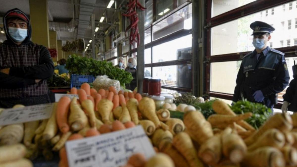 primaria sectorului 4 piete