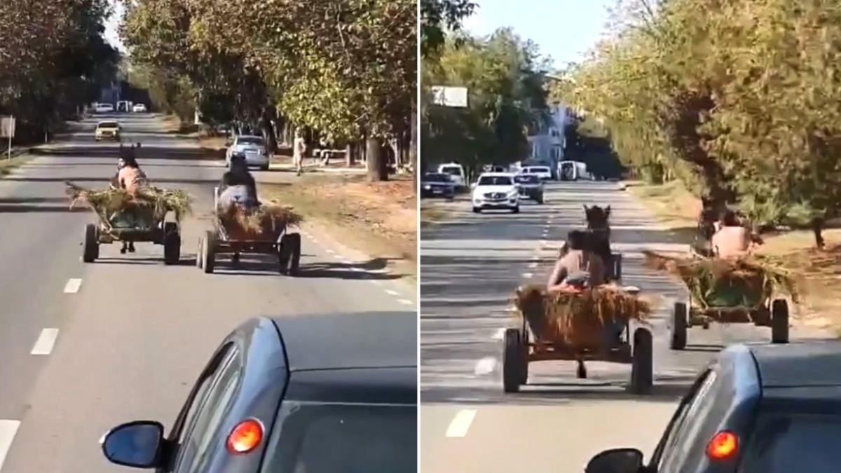 cursa nebuna doua carute intrare medgidia