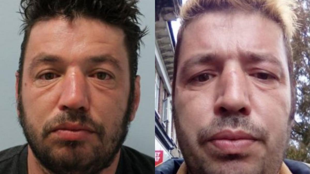 roman cautat politie londra