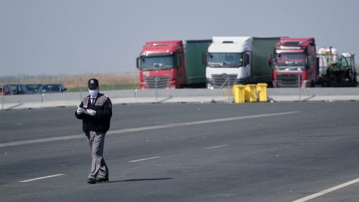 ac dc trupa mita arad kasimir halitchi