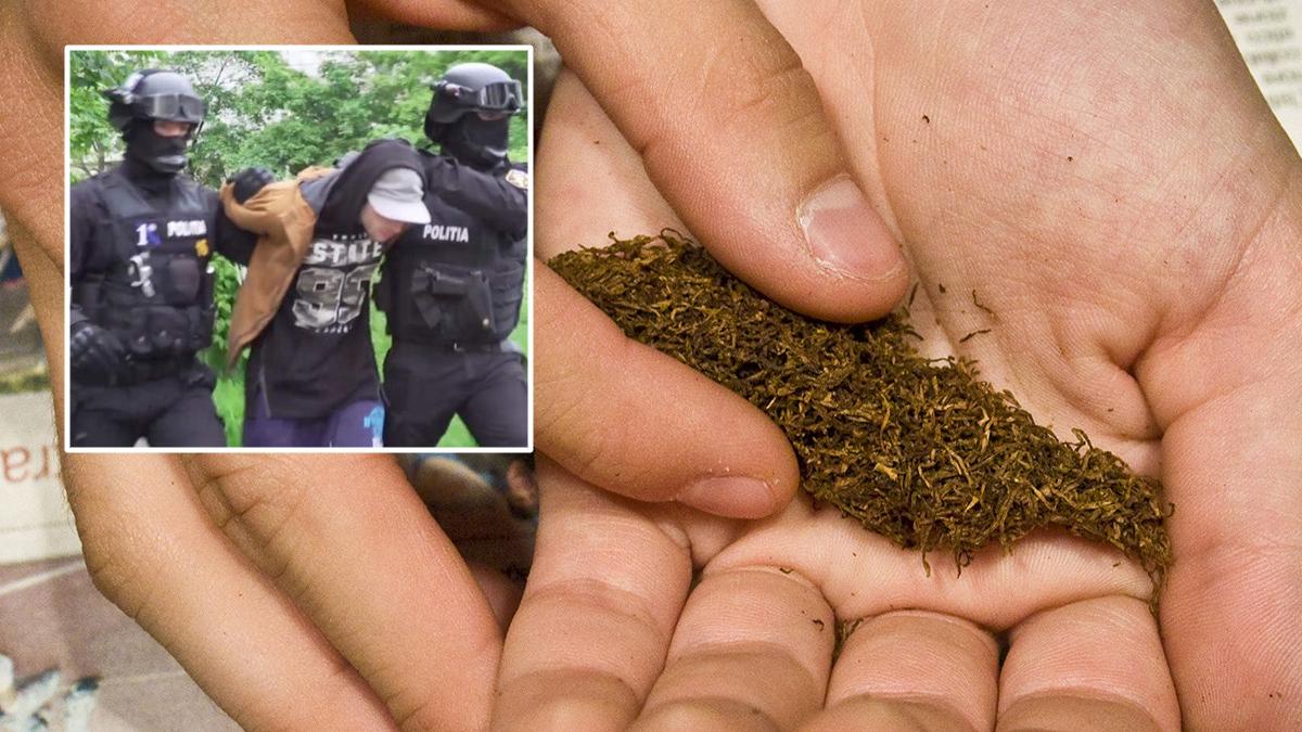 inchisoare viata tanar iasi droguri etnobotanice vecini pedeapsa