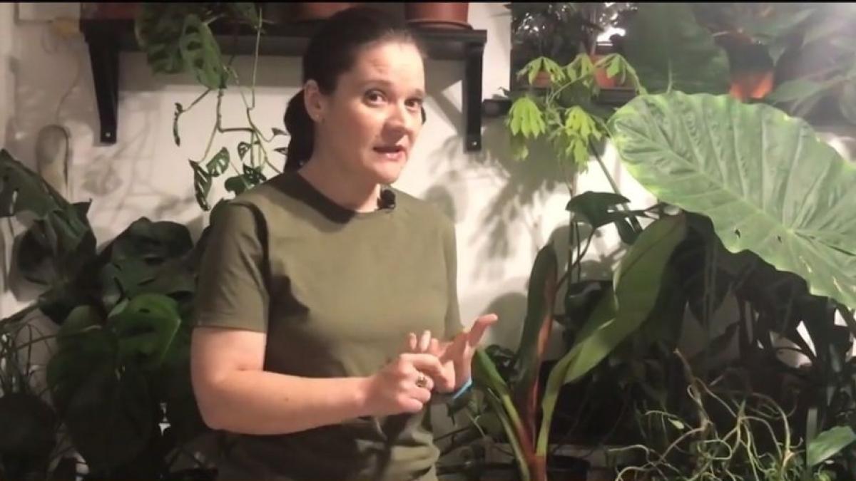 numai de bine oana matei plante iarna