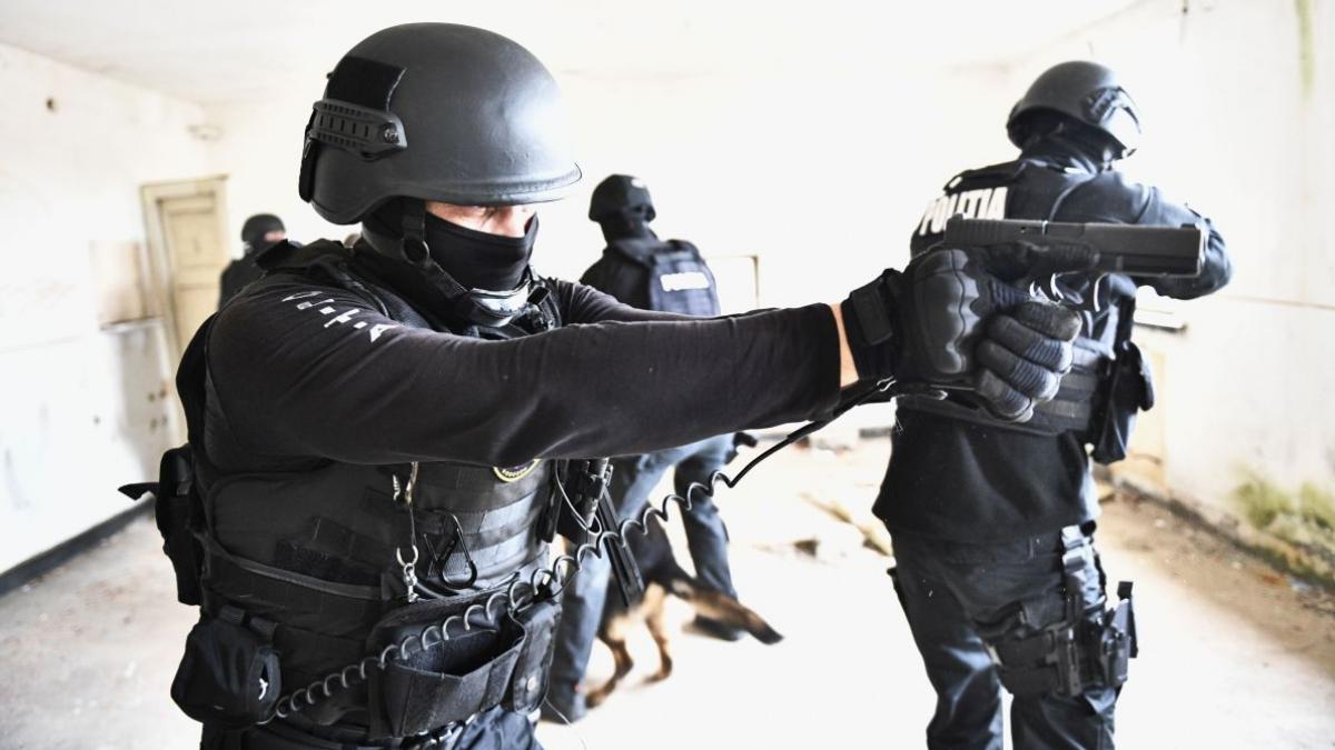 operatiune diicot timisoara politsti perchezitii