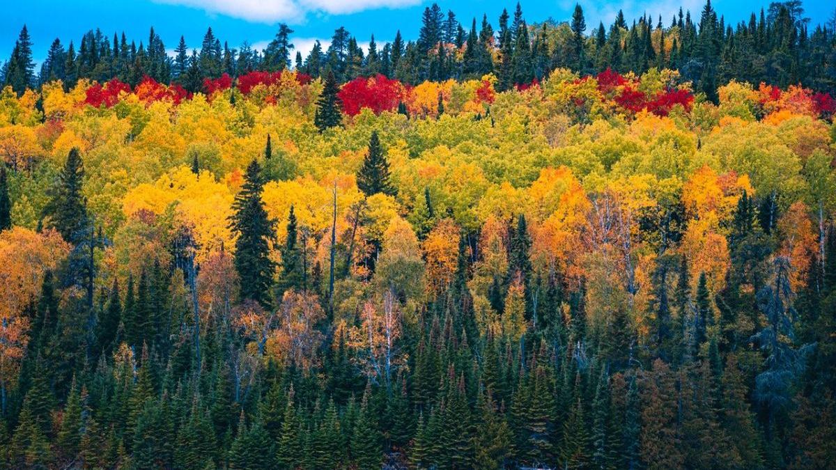 prognoza meteo 16 noiembrie 7 decembrie 2020