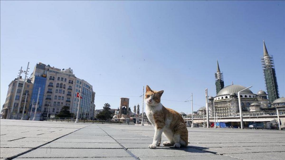 carantina turcia covid restrictii weekend