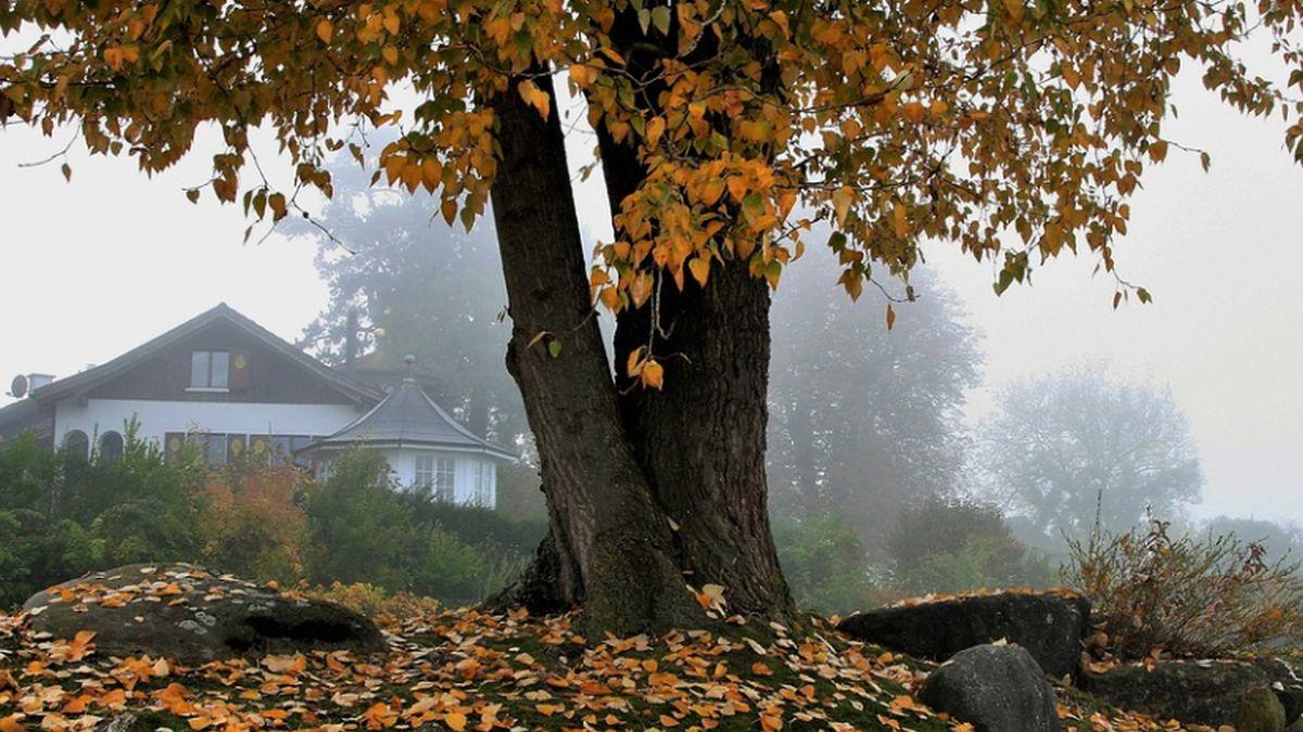 vremea prognoza meteo anm