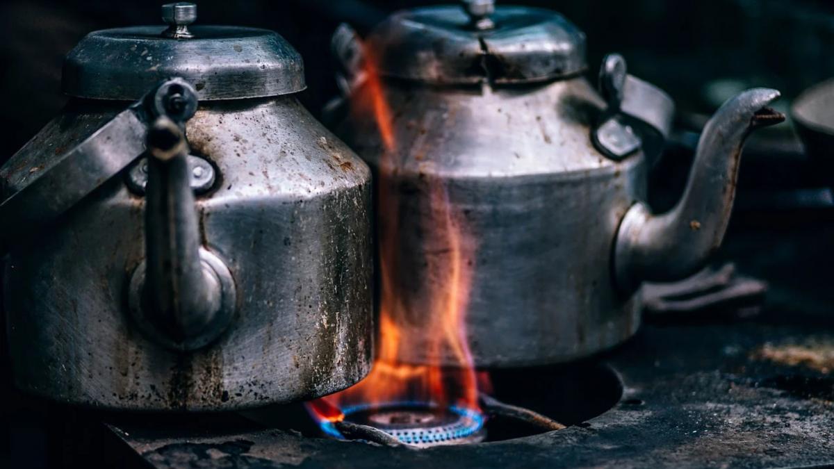 canibalism crima profesor germania