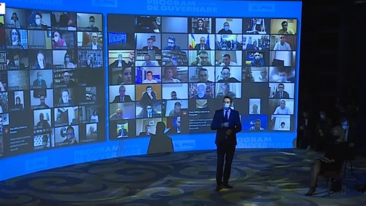 pnl program de guvernare ionel danca fax