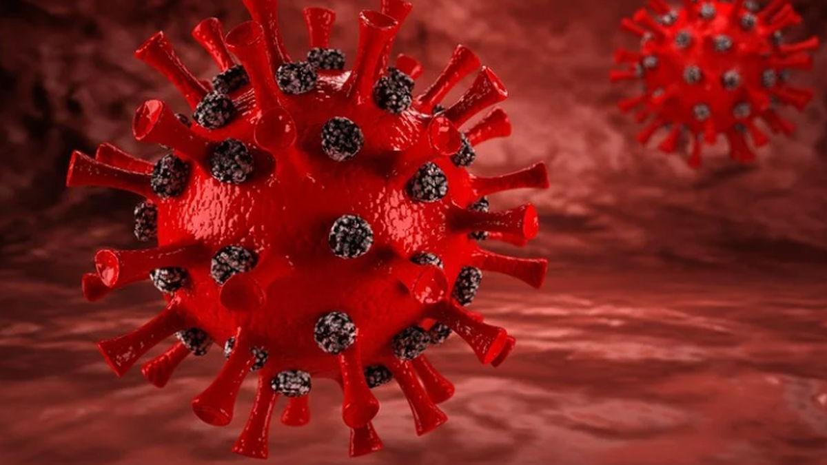 virus mortal chapare bolivia