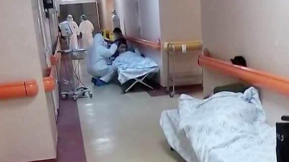 pacienti covid holuri matei bals sinteza zilei