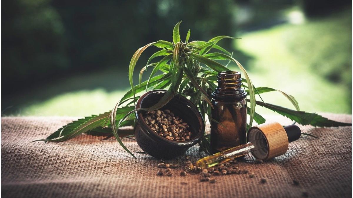 cafenea cannabis timisoara