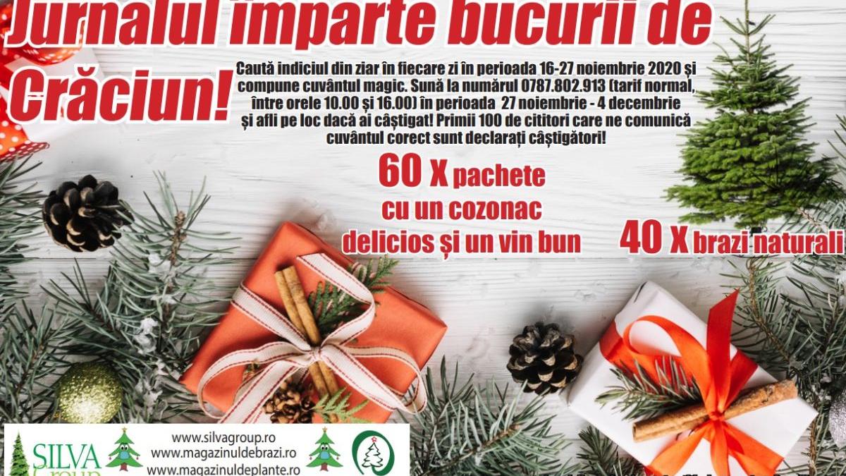 premii jurnalul national craciun brazi