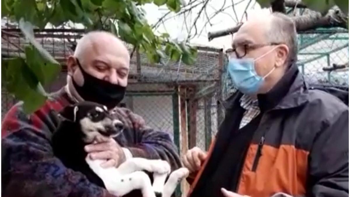 catei adoptati kera calita gheorghe iancu