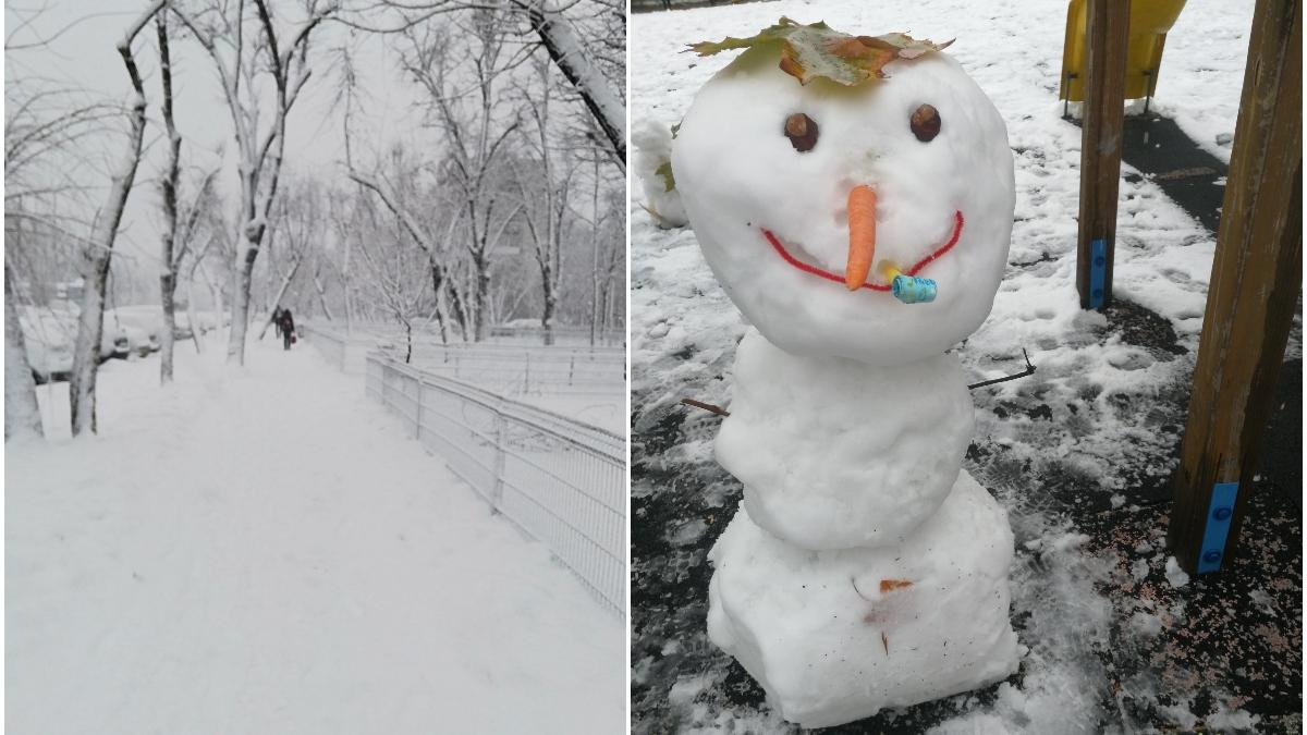 cod galben de ninsori capitala zapada povesti