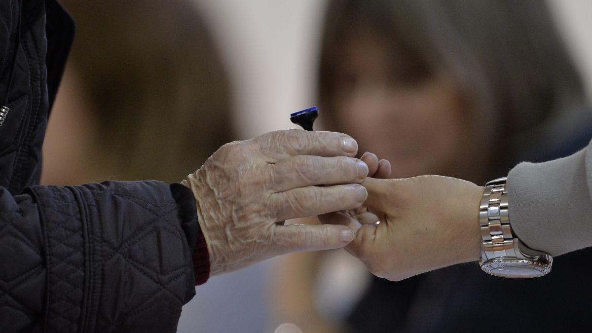 alegeri parlamentare 2020 vot strainatate