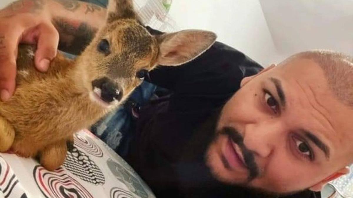 dani mocanu fotografie caprioara