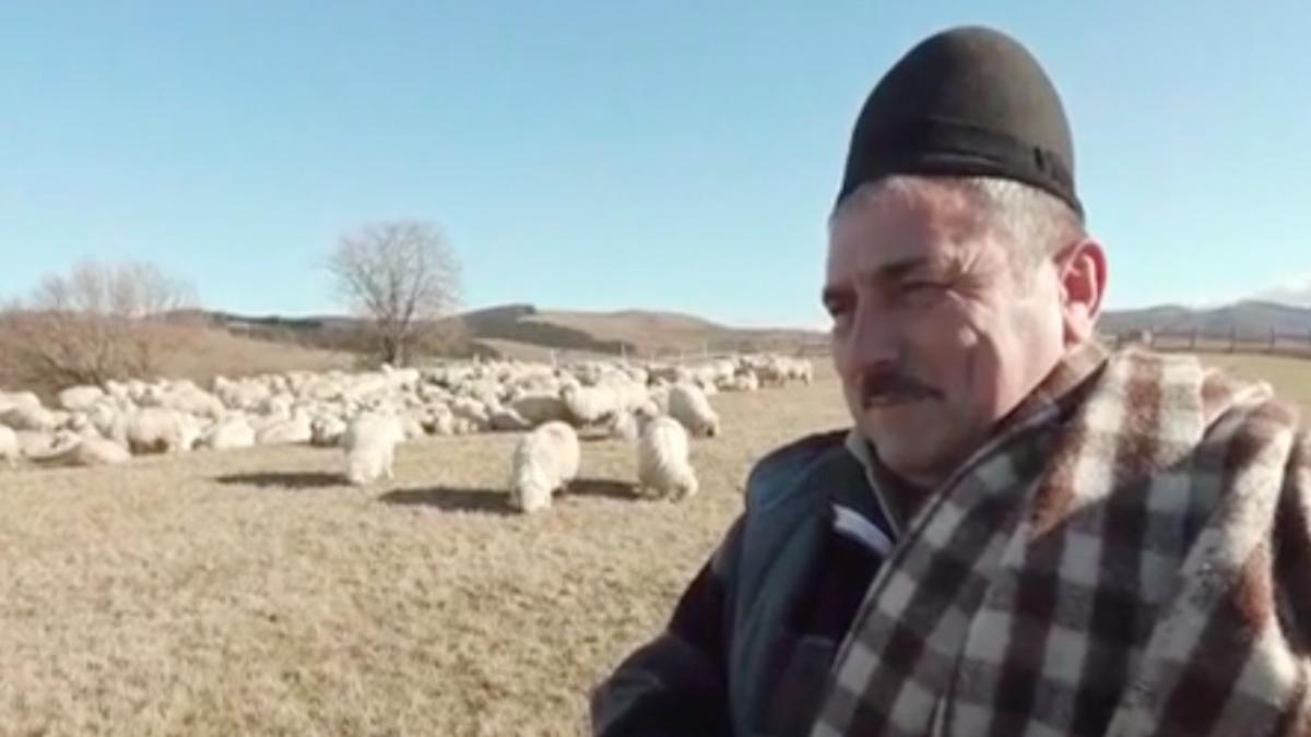 nea ion cioban stana alegeri parlamentare