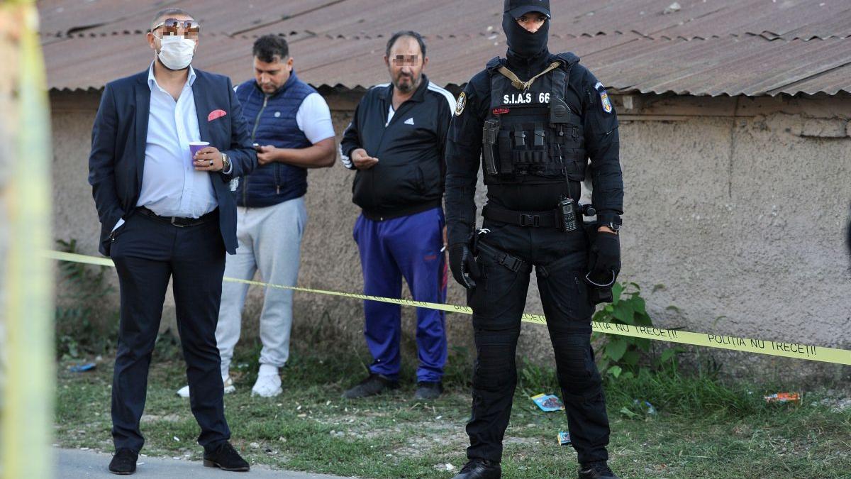 palme sectie votare dolj dosar penal