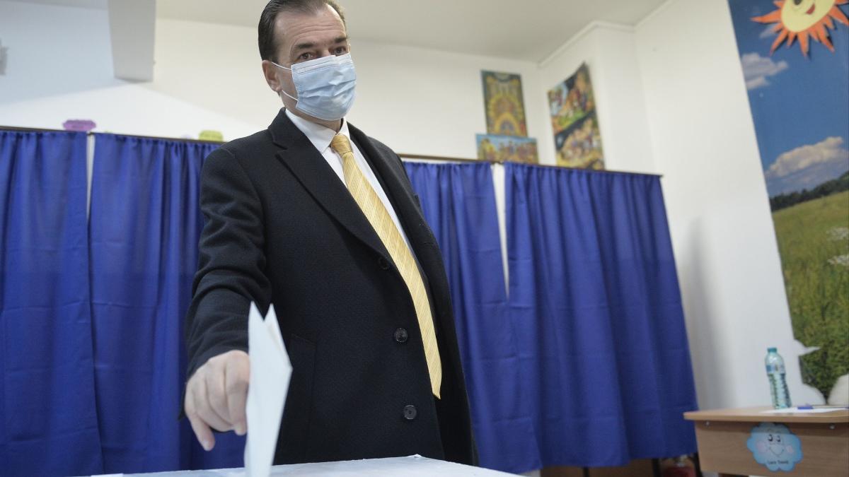 top judete pnl alegeri parlamentare