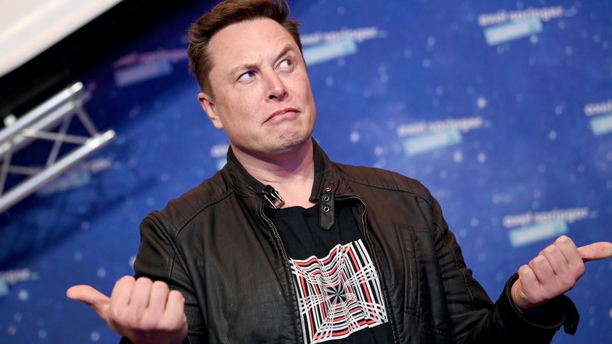 elon musk gigafabrica germania serpi