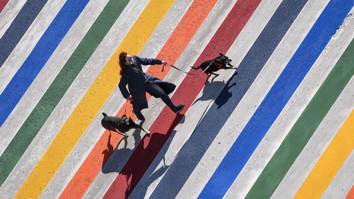 culorile anului 2021 institutul pantone