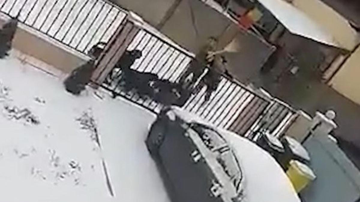 femeie atacata caini rottweiler suceava