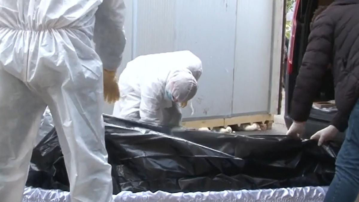 scandal biserica caracal sicriu ridicat politie morga