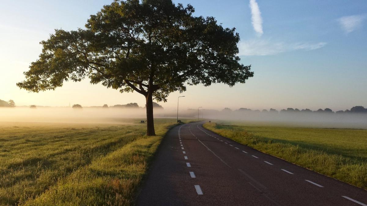 telefoane descoperite ingropate santurile marginea drumului