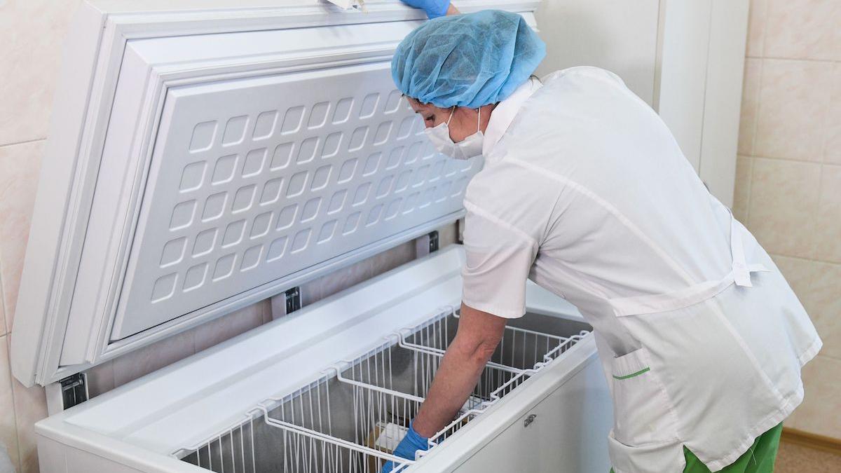 vaccinurile anti covid livrate containere mancare congelata