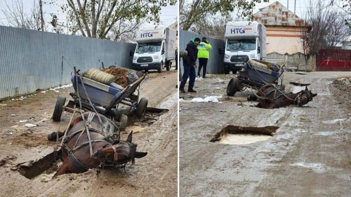 cal gropi caruta teleorman