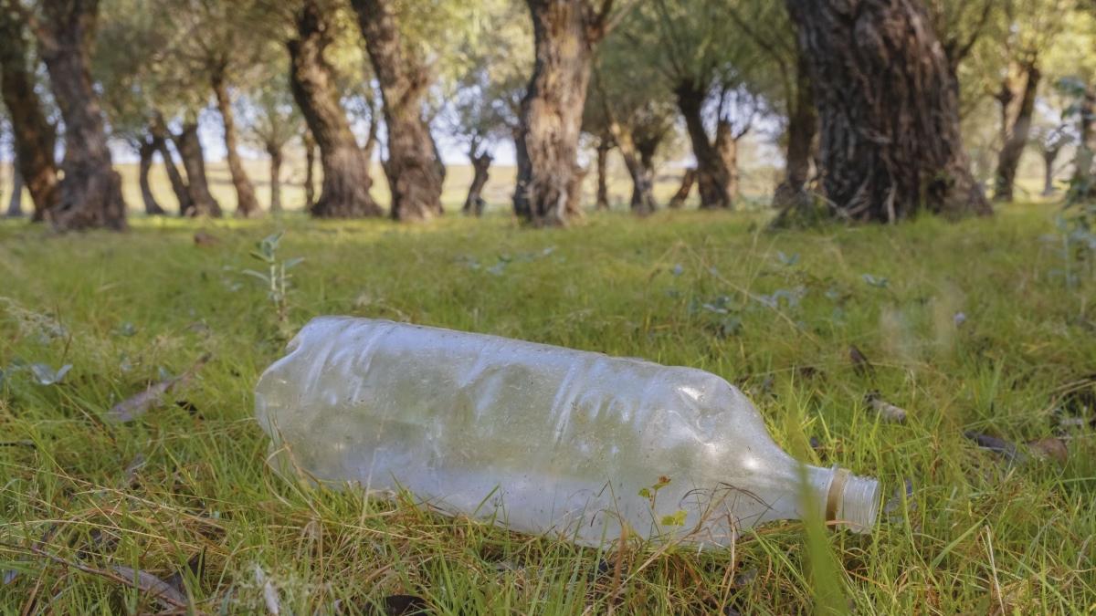 taxa ambalaj pet sticla 50 bani