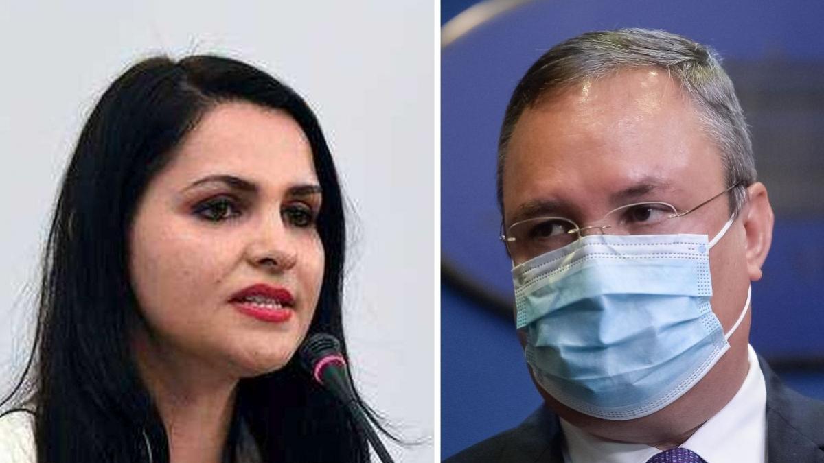 cristina daria buzasu enache plecare guvern nicolae ciuca ludovic orban