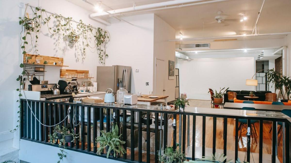 decorezi locuinta plante flori sfaturi trucuri utile